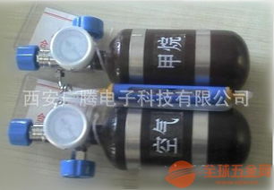 便攜式氣體傳感器標校裝置 保障氣體檢測精度的關鍵，以甲烷傳感器為例